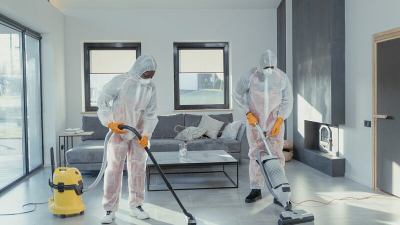 The Role of Carpet Cleaning Services in Allergy Defense