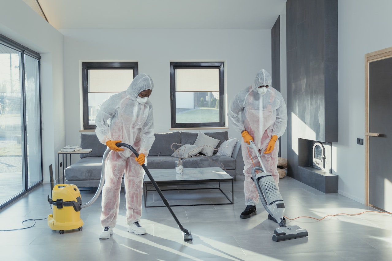 The Role of Carpet Cleaning Services in Allergy Defense